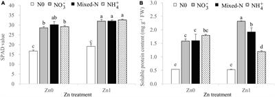 Interaction Effects of Nitrogen Rates and Forms Combined With and Without Zinc Supply on Plant Growth and Nutrient Uptake in Maize Seedlings